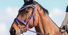 Horse sparkle bridle for sale  Delivered anywhere in UK