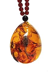 Yigedan amber scorpion for sale  Delivered anywhere in UK