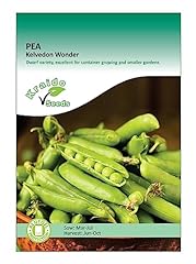 Pea seeds planting for sale  Delivered anywhere in UK