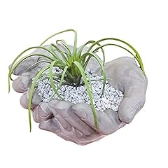 Hand shaped flower for sale  Delivered anywhere in USA 