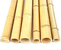 Tube bambou moso d'occasion  Livré partout en France
