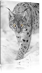Lynx vigilant neige d'occasion  Livré partout en France