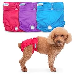 Paw inspired ultra for sale  Delivered anywhere in USA 