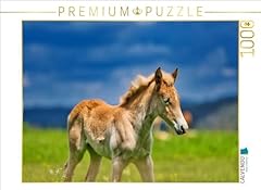 Calvendo puzzle haflinger usato  Spedito ovunque in Italia 