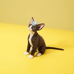 Mmos devon rex for sale  Delivered anywhere in USA 