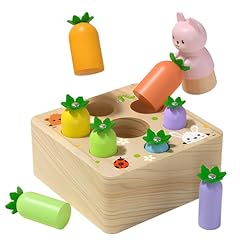 Montessori toys baby for sale  Delivered anywhere in USA 