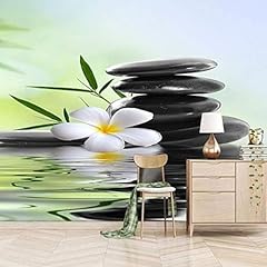 Xlming phyllostachys nigra d'occasion  Livré partout en France
