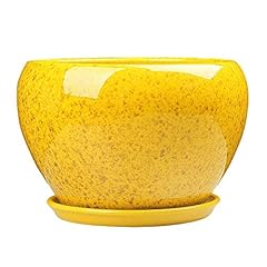 Vasi fiori vaso usato  Spedito ovunque in Italia 
