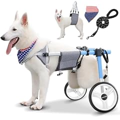 Lokshun large dog for sale  Delivered anywhere in USA 