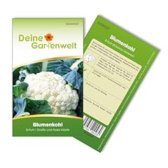 Blumenkohl erfurt samen gebraucht kaufen  Wird an jeden Ort in Deutschland