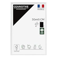 Ceanothe cadre photo d'occasion  Livré partout en France