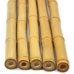 Flickbuyz bamboo canes for sale  Delivered anywhere in UK