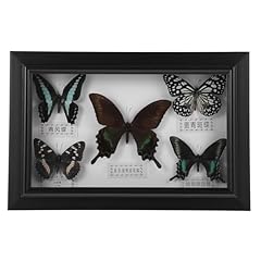 Framed butterfly shadow for sale  Delivered anywhere in UK