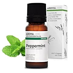 Aroma labs menta usato  Spedito ovunque in Italia 