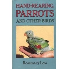 Hand rearing parrots for sale  Delivered anywhere in UK