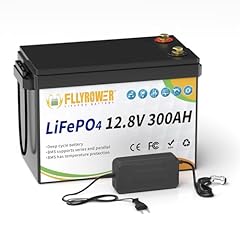 Fllyrower 12v 300ah gebraucht kaufen  Wird an jeden Ort in Deutschland