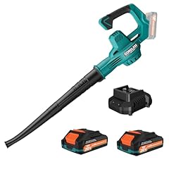 Cordless leaf blower for sale  Delivered anywhere in USA 