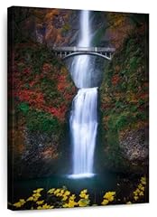Elephant stock multnomah for sale  Delivered anywhere in USA 