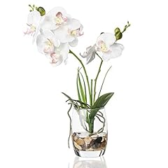 Jusdreen pcs glass for sale  Delivered anywhere in USA 