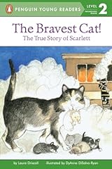 Bravest cat true for sale  Delivered anywhere in USA 