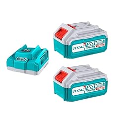 Set batterie litio usato  Spedito ovunque in Italia 