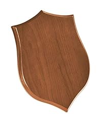 Crest scudo legno usato  Spedito ovunque in Italia 