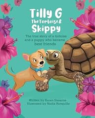 Tilly tortoise skippy for sale  Delivered anywhere in USA 