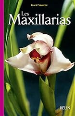 maxillaria d'occasion maxillaria d'occasion Livré partout en France