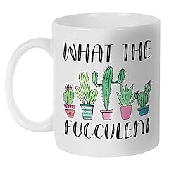 Fatbaby fucculent cactus for sale  Delivered anywhere in USA 