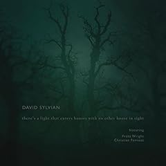 David sylvian light for sale  Delivered anywhere in UK