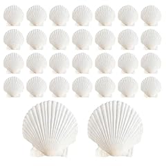 Asbefore 30pcs sea for sale  Delivered anywhere in USA 