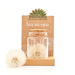 Exauceur voeux véritable d'occasion  Livré partout en France