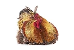 Oeuvres art italia d'occasion  Livré partout en France