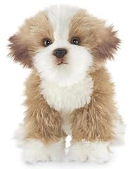 Bearington murphy maltipoo for sale  Delivered anywhere in USA 