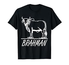 Zebu cattle brahma for sale  Delivered anywhere in USA 