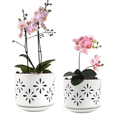 Efispss orchid pot for sale  Delivered anywhere in USA 