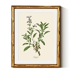 Insimsea gold bamboo for sale  Delivered anywhere in USA 