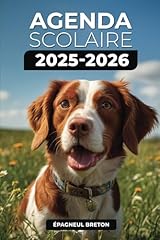 Agenda scolaire 2025 d'occasion  Livré partout en France
