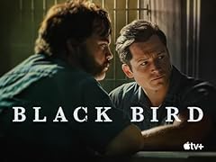 Black bird for sale  Delivered anywhere in USA 
