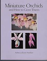 Miniature orchids grow for sale  Delivered anywhere in USA 