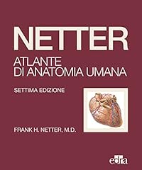 Netter. atlante anatomia usato  Spedito ovunque in Italia 