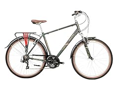 Raleigh ptr19mt pioneer for sale Raleigh ptr19mt pioneer for sale  Delivered anywhere in UK