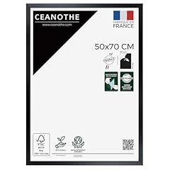Ceanothe cadre photo d'occasion  Livré partout en France
