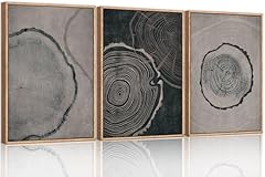 Ausril tree ring for sale  Delivered anywhere in USA 