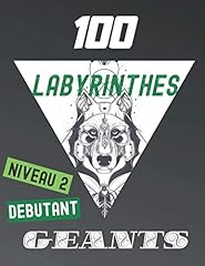 100 labyrinthes géants d'occasion  Livré partout en France