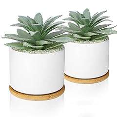 Hopewood artificial succulents for sale  Delivered anywhere in USA 