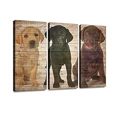 Haben artwork puppies for sale  Delivered anywhere in USA 