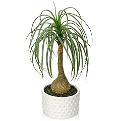 Hollyone fake plants for sale  Delivered anywhere in USA 