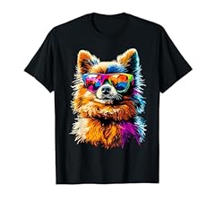 Pomerania cane pomeranian usato  Spedito ovunque in Italia 