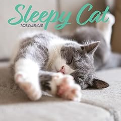 Sleepy cat 2025 for sale  Delivered anywhere in UK